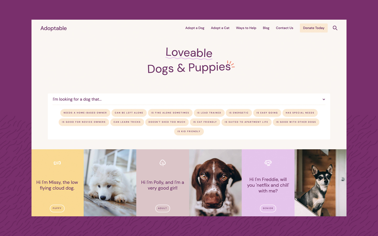 Adoptable Pets HTML5 Responsive site Template